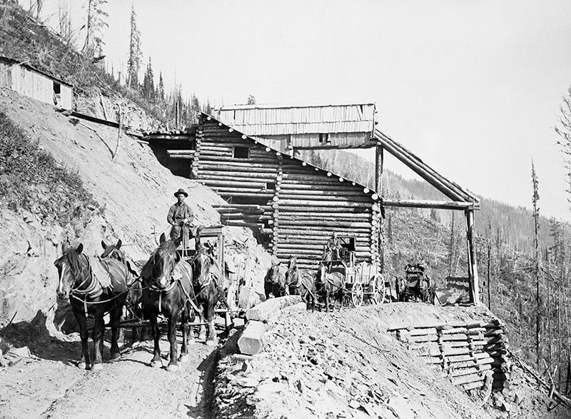 history of horses in canada, canadian horse history, Sir Donald Smith, Edward Mallandaine, canadian equine history history of horses in canada, canadian horse history, Sir Donald Smith, Edward Mallandaine, canadian equine history