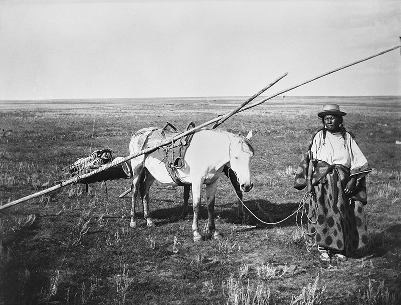 history of horses in canada, canadian horse history, Sir Donald Smith, Edward Mallandaine, canadian equine history history of horses in canada, canadian horse history, Sir Donald Smith, Edward Mallandaine, canadian equine history
