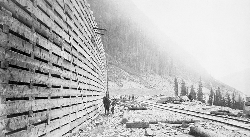 history of horses in canada, canadian horse history, Sir Donald Smith, Edward Mallandaine, canadian equine history history of horses in canada, canadian horse history, Sir Donald Smith, Edward Mallandaine, canadian equine history