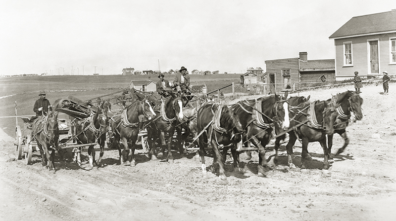 history of horses in canada, canadian horse history, Sir Donald Smith, Edward Mallandaine, canadian equine history history of horses in canada, canadian horse history, Sir Donald Smith, Edward Mallandaine, canadian equine history