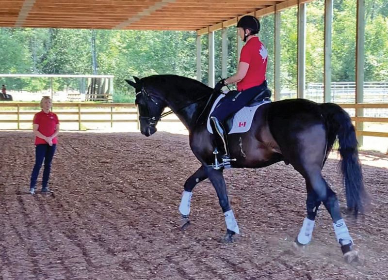 successful horse people, winona hartvikson dressage paralympic, kyle carter olympian eventer, stephanie valdes show jumping, tiffany foster little equestrian, horse riding olympics, canadian horse riders