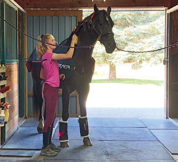 successful horse people, winona hartvikson dressage paralympic, kyle carter olympian eventer, stephanie valdes show jumping, tiffany foster little equestrian, horse riding olympics, canadian horse riders