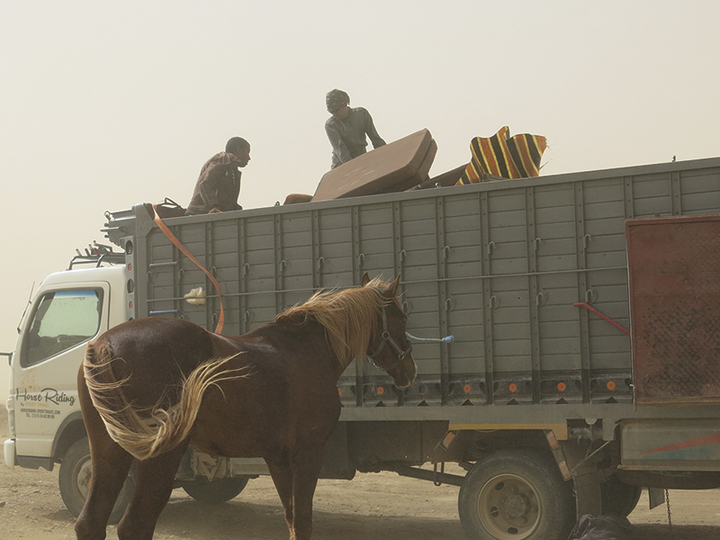 vacationing with horses, holidaying with horses, horse riding abroad, local horse riding, horse riding adventure, morocco sahara horses, tania millen