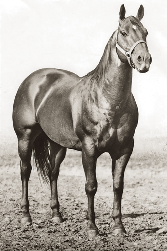 rules in cutting horse competitions, bc cutting horse association, heritage cutting classic chillwack bc, national cutting horse association, ontario cutting horse association, bill collins