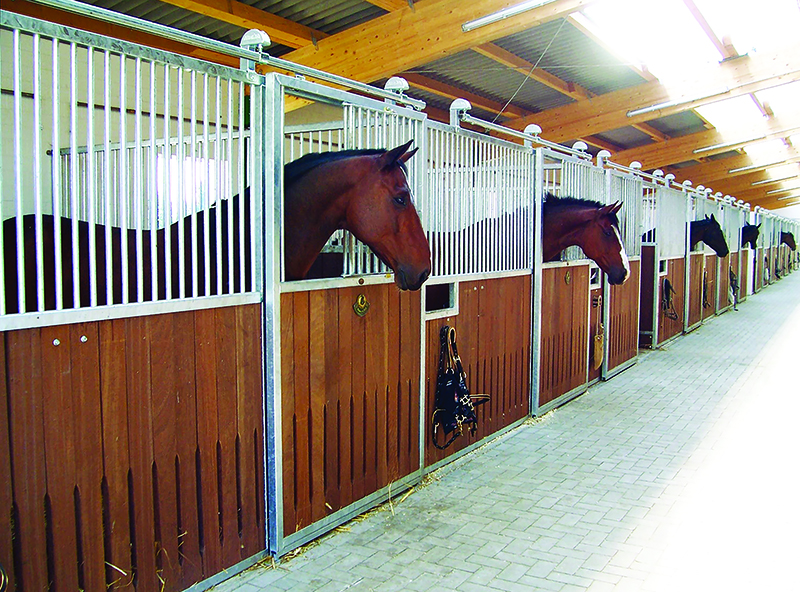 design Horse Stall layout, Eileen Wheeler, Ph.D., Professor of Agricultural Engineering, dimensions of horse stall, ventilating horse stall, equine respiratory, lights for horse stall, flooring for horse stall design Horse Stall layout, Eileen Wheeler, Ph.D., Professor of Agricultural Engineering, dimensions of horse stall, ventilating horse stall, equine respiratory, lights for horse stall, flooring for horse stall