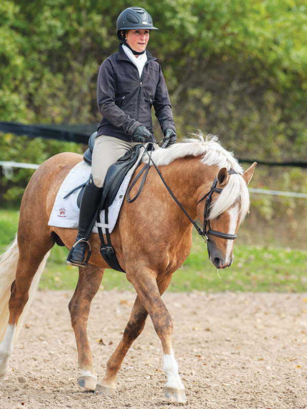 horse exercises for lightness, lateral poll flexion exercises, schaukel horse training, jec ballou horse trainer, ground pole exercises horses, improving contact with horses