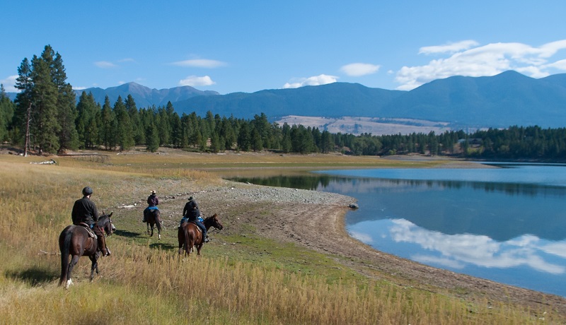 horse riding holidays canada, vacationing with horses, shawn hamilton, anchor d guiding, bar w guest ranch, brewster adventures, flying u ranch, alberta horse riding, ontario holiday riding