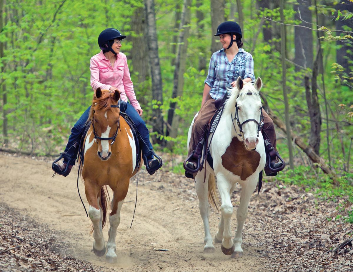 Senior horse under saddle demonstrating the benefits of consistent exercise for maintaining fitness, mobility, and soundness.