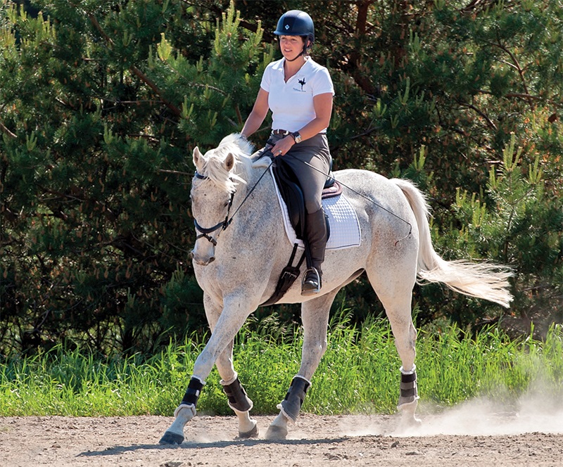 horse pole exercises, stretches for horses, jec a ballou equestrian horse trainer, groundwork for horses, corrected exercises for horses