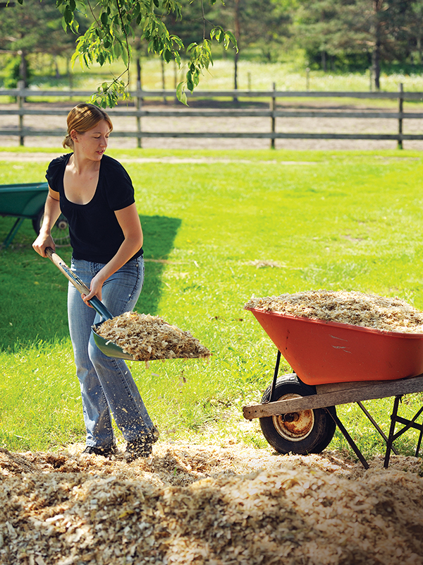 running a horse barn, owning a horse farm, boarding horses, how to board horses, renting riding ring