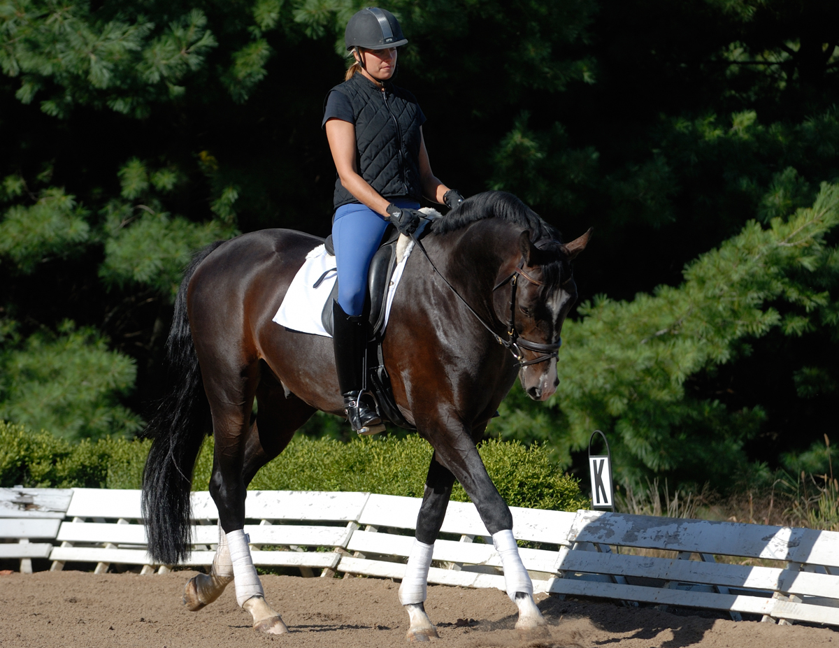 walking workouts horse, best way to exercise horse, exercising horse at walk, jec ballou