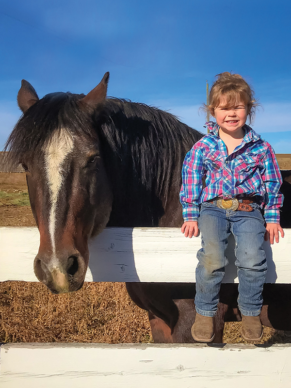 Grated Coconut Rodeo Horse