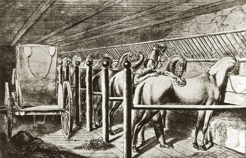 design Horse Stall layout, Eileen Wheeler, Ph.D., Professor of Agricultural Engineering, dimensions of horse stall, ventilating horse stall, equine respiratory, lights for horse stall, flooring for horse stall design Horse Stall layout, Eileen Wheeler, Ph.D., Professor of Agricultural Engineering, dimensions of horse stall, ventilating horse stall, equine respiratory, lights for horse stall, flooring for horse stall