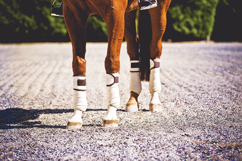 proper riding arena footing, ideal riding arena surfaces, White Paper Equestrian Surfaces, equestrian surfaces, riding arena irrigation systems, riding arena crystalline silica dust proper riding arena footing, ideal riding arena surfaces, White Paper Equestrian Surfaces, equestrian surfaces, riding arena irrigation systems, riding arena crystalline silica dust