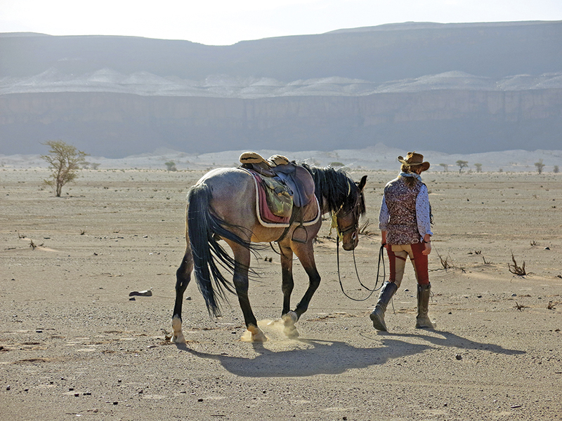 vacationing with horses, holidaying with horses, horse riding abroad, local horse riding, horse riding adventure, morocco sahara horses, tania millen