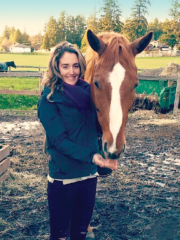 healing with horses, equine therapy, horses mindfullness, horses meditation