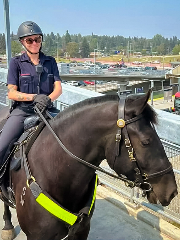 Robin Koltusky leading innovation in mounted policing and horse training with the Calgary Police Service Mounted Patrol Team