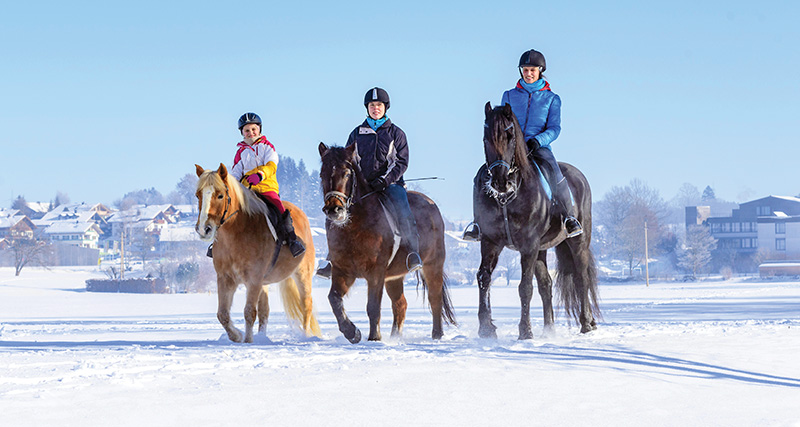 hcbc membership renewal, horse council bc, hcbc awards 2019 