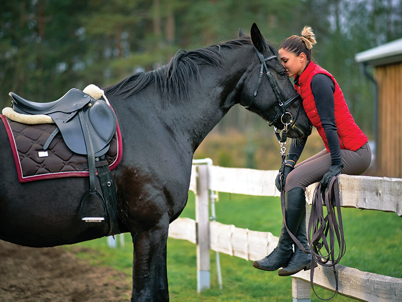 psychology horse riders, annika mcgivern, how to enjoy horse riding, perfectionism horse riding