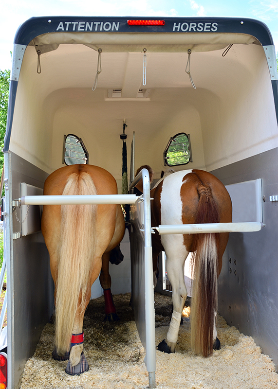 Inside Your Horse Trailer, horse to transport my horse safely, what type of horse trailer should i buy, best horse trailers, shipping fever, pleuropneumonia, kevan garecki Inside Your Horse Trailer, horse to transport my horse safely, what type of horse trailer should i buy, best horse trailers, shipping fever, pleuropneumonia, kevan garecki
