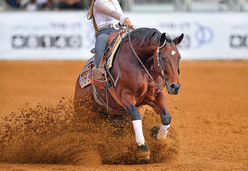 proper riding arena footing, ideal riding arena surfaces, White Paper Equestrian Surfaces, equestrian surfaces, riding arena irrigation systems, riding arena crystalline silica dust proper riding arena footing, ideal riding arena surfaces, White Paper Equestrian Surfaces, equestrian surfaces, riding arena irrigation systems, riding arena crystalline silica dust