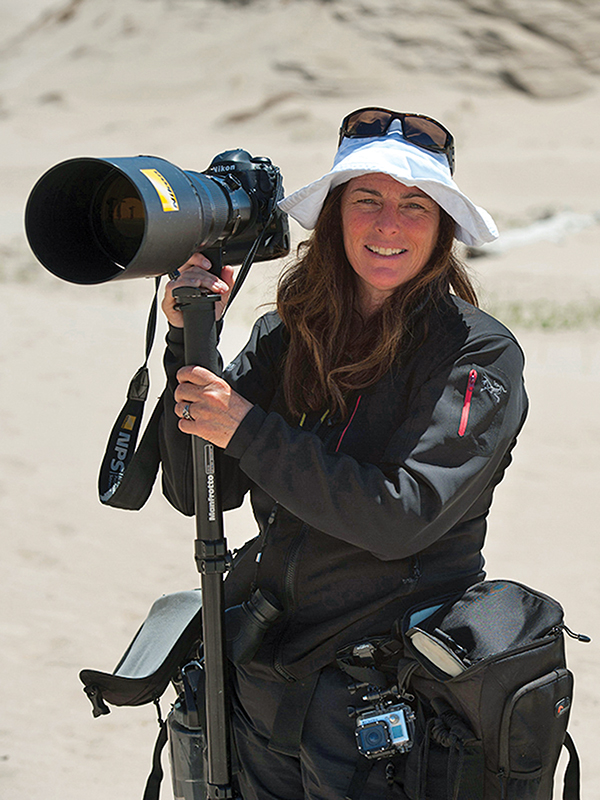 nikon 300mm f/2.8 lens, how to photograph horses, horse photography in motion, action photography horses, equine action photography, photography at horse events, photo of horse using phone, take best horse photos, how to take a conformation photo of horse, make horse look good in photo, shawn hamilton