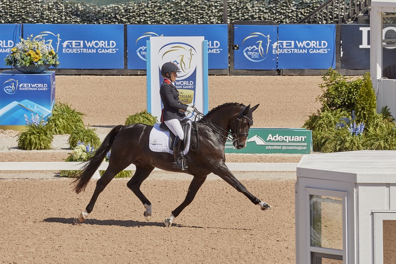tryon world equestrian games 2018 Para-Dressage web Vaulting world equestrian games Jumping web Driving World Equestrian Games tryon equestrian centre, lauren barwick, sophie wells, Stinna Tange Kaastrup, kristina boe, lambert leclezio, simone blum, steve guerdat, boyd excel, chester weber tryon world equestrian games 2018 Para-Dressage web Vaulting world equestrian games Jumping web Driving World Equestrian Games tryon equestrian centre, lauren barwick, sophie wells, Stinna Tange Kaastrup, kristina boe, lambert leclezio, simone blum, steve guerdat, boyd excel, chester weber