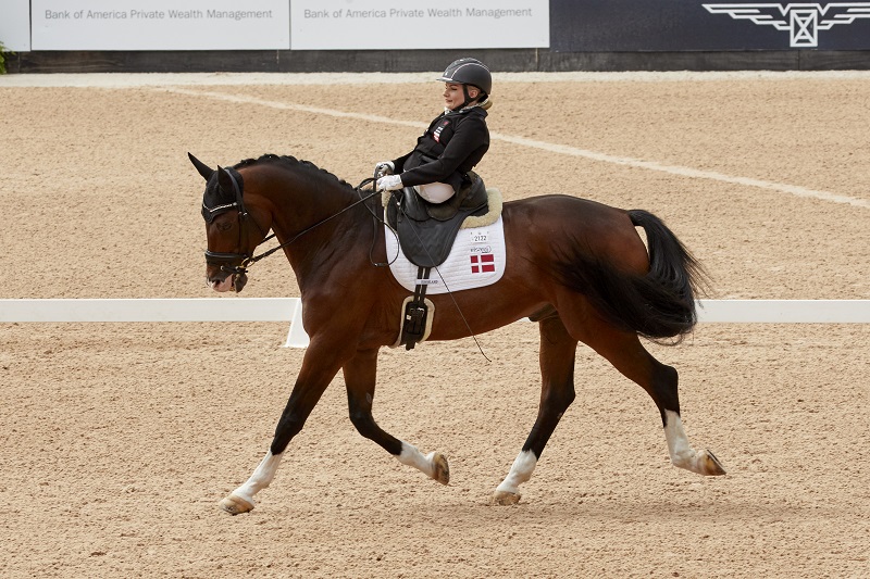 tryon world equestrian games 2018 Para-Dressage web Vaulting world equestrian games Jumping web Driving World Equestrian Games tryon equestrian centre, lauren barwick, sophie wells, Stinna Tange Kaastrup, kristina boe, lambert leclezio, simone blum, steve guerdat, boyd excel, chester weber tryon world equestrian games 2018 Para-Dressage web Vaulting world equestrian games Jumping web Driving World Equestrian Games tryon equestrian centre, lauren barwick, sophie wells, Stinna Tange Kaastrup, kristina boe, lambert leclezio, simone blum, steve guerdat, boyd excel, chester weber