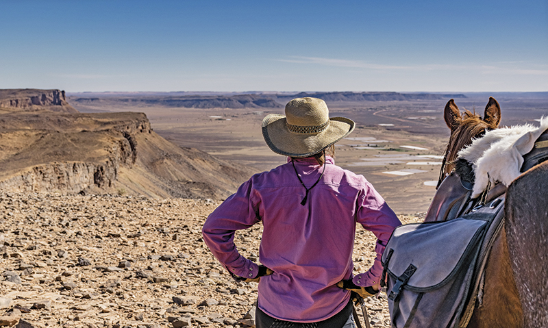 vacationing with horses, holidaying with horses, horse riding abroad, local horse riding, horse riding adventure, morocco sahara horses, tania millen