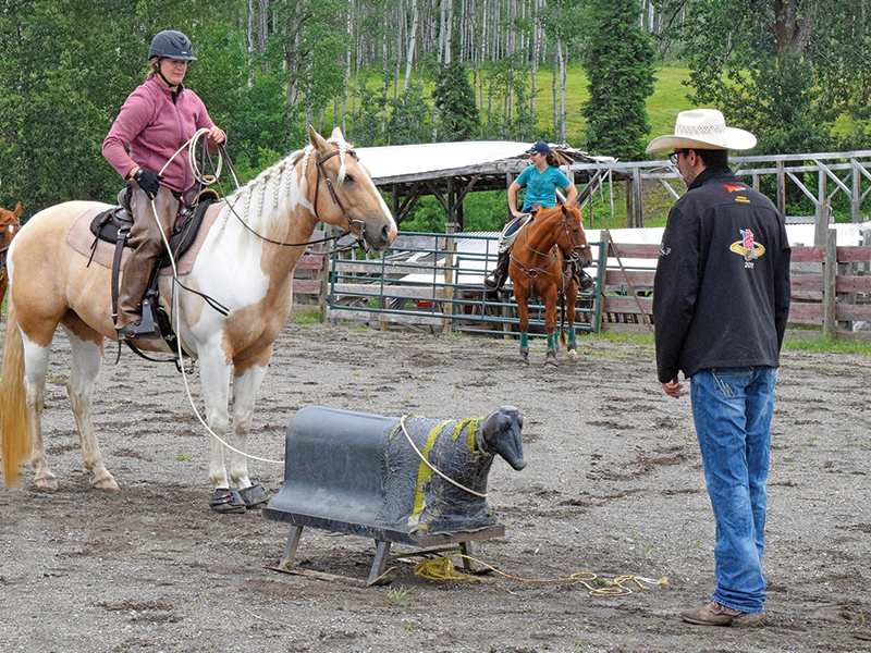 how to rope a cow, roping with horses, cowboy roping, ross smith president canadian ranch roping association,