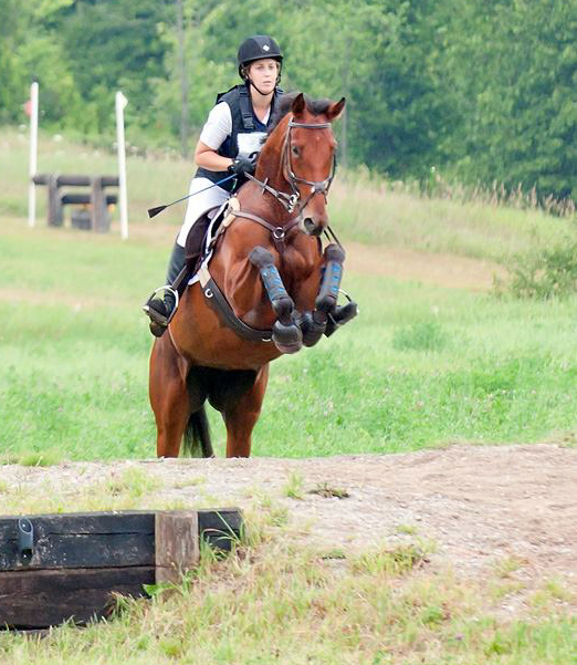 Retraining Thoroughbreds, new careers Thoroughbreds, Barbara Sheridan Equine Guelph, Garry Westergaard, Priscilla Clark Tranquility Farm, thoroughbred career change, Jocelyn Inglehart, Wendy Muir, Jane Avril Retraining Thoroughbreds, new careers Thoroughbreds, Barbara Sheridan Equine Guelph, Garry Westergaard, Priscilla Clark Tranquility Farm, thoroughbred career change, Jocelyn Inglehart, Wendy Muir, Jane Avril