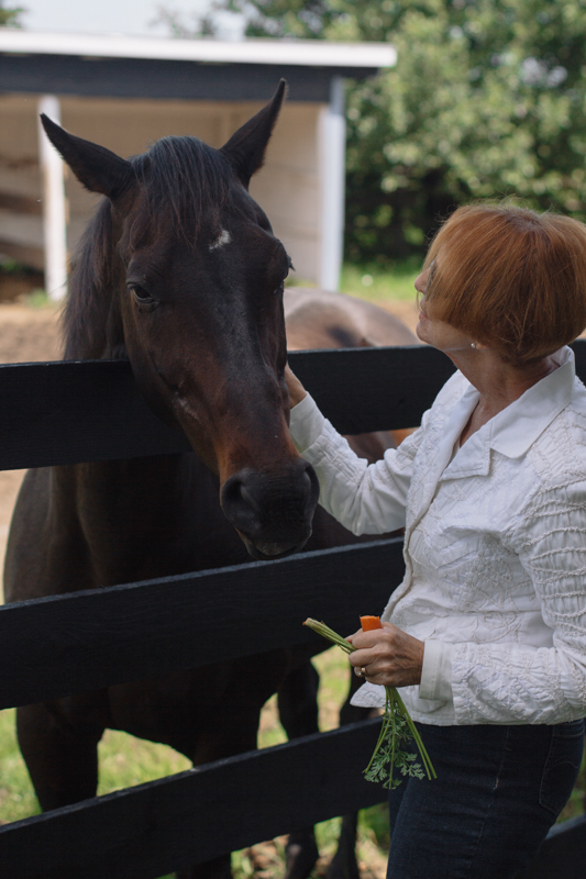 Retraining Thoroughbreds, new careers Thoroughbreds, Barbara Sheridan Equine Guelph, Garry Westergaard, Priscilla Clark Tranquility Farm, thoroughbred career change, Jocelyn Inglehart, Wendy Muir, Jane Avril Retraining Thoroughbreds, new careers Thoroughbreds, Barbara Sheridan Equine Guelph, Garry Westergaard, Priscilla Clark Tranquility Farm, thoroughbred career change, Jocelyn Inglehart, Wendy Muir, Jane Avril