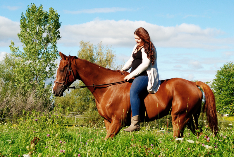 Retraining Thoroughbreds, new careers Thoroughbreds, Barbara Sheridan Equine Guelph, Garry Westergaard, Priscilla Clark Tranquility Farm, thoroughbred career change, Jocelyn Inglehart, Wendy Muir, Jane Avril Retraining Thoroughbreds, new careers Thoroughbreds, Barbara Sheridan Equine Guelph, Garry Westergaard, Priscilla Clark Tranquility Farm, thoroughbred career change, Jocelyn Inglehart, Wendy Muir, Jane Avril