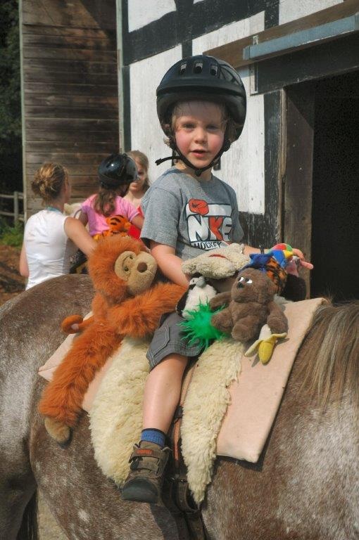 horses for therapy, mental health horses, horses to heal