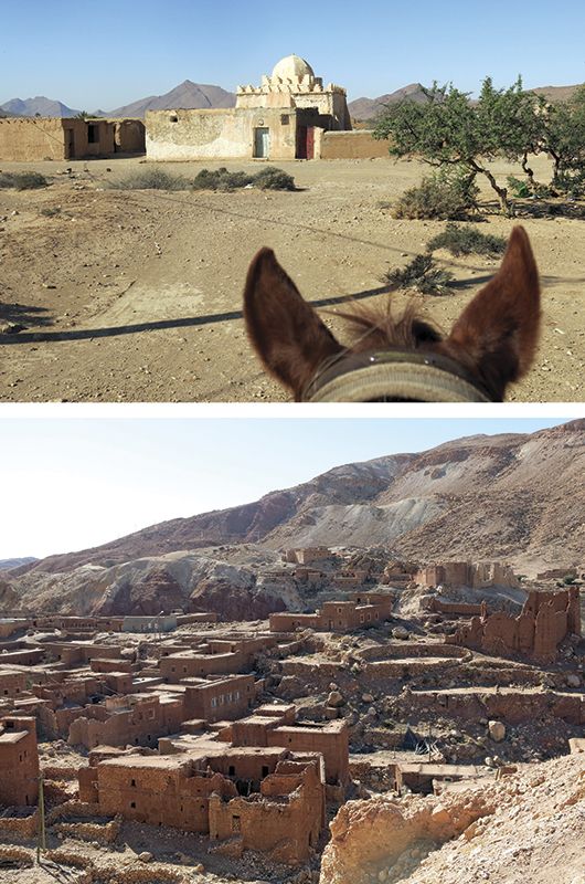 vacationing with horses, holidaying with horses, horse riding abroad, local horse riding, horse riding adventure, morocco sahara horses, tania millen
