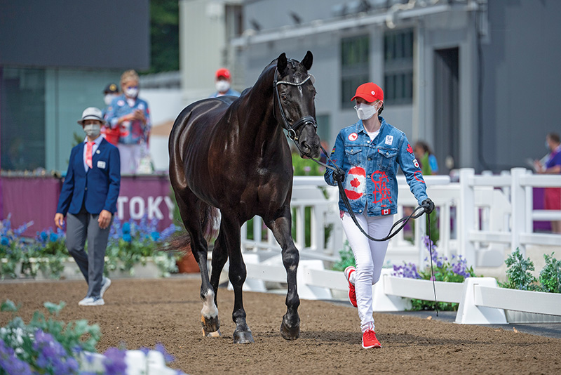 successful horse people, winona hartvikson dressage paralympic, kyle carter olympian eventer, stephanie valdes show jumping, tiffany foster little equestrian, horse riding olympics, canadian horse riders