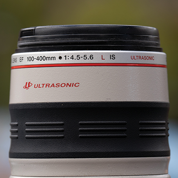 100mm to 400mm Canon lens, how to photograph horses, horse photography in motion, action photography horses, equine action photography, photography at horse events, photo of horse using phone, take best horse photos, how to take a conformation photo of horse, make horse look good in photo, shawn hamilton