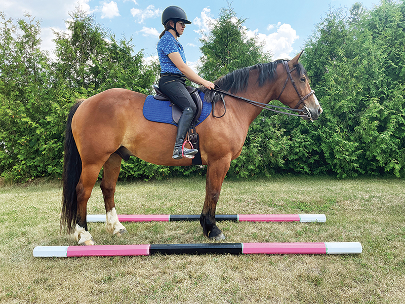 horse backing through poles, rein-back horse, leg yielding horse, horse seems stuck, Sidepassing a horse, horse crossing legs, horse soft contact, lindsay grice horse training, backing obstacles with horses, sidepass obstacles with horses