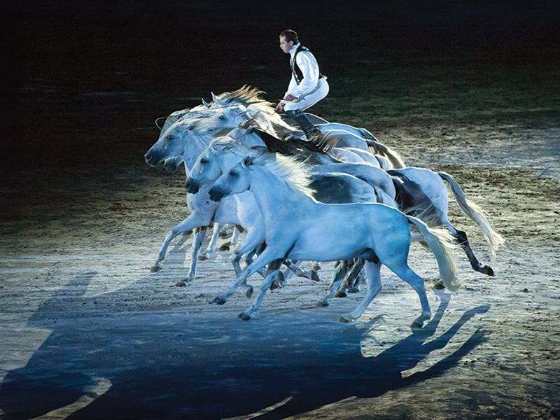 2014 fei world equestrian games, how to photograph horses, horse photography in motion, action photography horses, equine action photography, photography at horse events, photo of horse using phone, take best horse photos, how to take a conformation photo of horse, make horse look good in photo, shawn hamilton