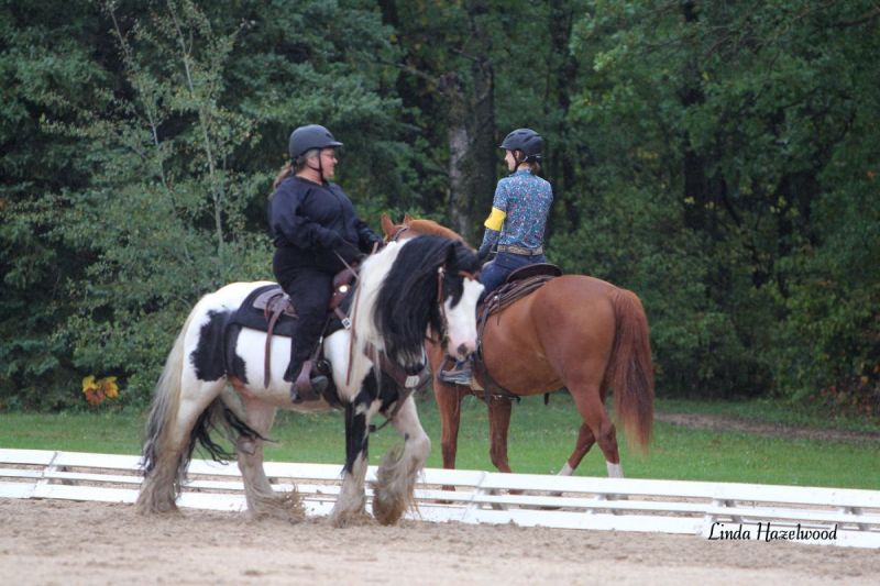 manitoba horse council Multi-Discipline Team Challenge, Manitoba Equestrian Championships, Birds Hill Park, sport manitoba respect in sport program horse equine canada