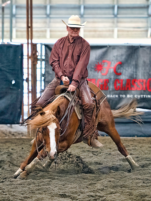 rules in cutting horse competitions, bc cutting horse association, heritage cutting classic chillwack bc, national cutting horse association, ontario cutting horse association, bill collins