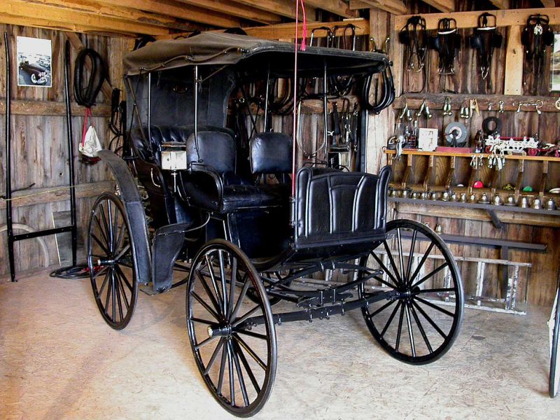 horse-drawn vehicle quebec jutras horse bugges, horse carriages, horse sleighs, horse driving, equine driving