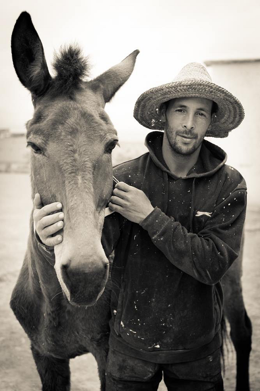 Jarjeer Mule and Donkey Sanctuary Marrakech, Morocco, rescue donkeys, equine rescue worldwide
