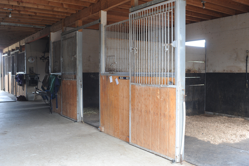 De-icing water buckets for horses,  assess your horse barn’s structural integrity, dust control in horse barn, mud management for horses, ventilation for horse paddocks and barns, heated horse tack room