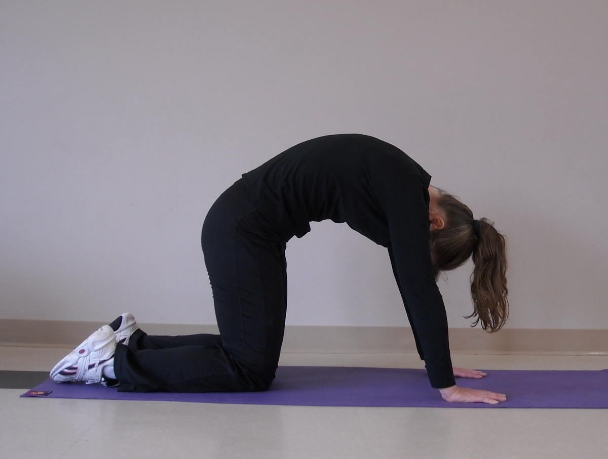 Horse rider back support, horse rider fitness, horse rider daily exercises, horse rider upper body strength