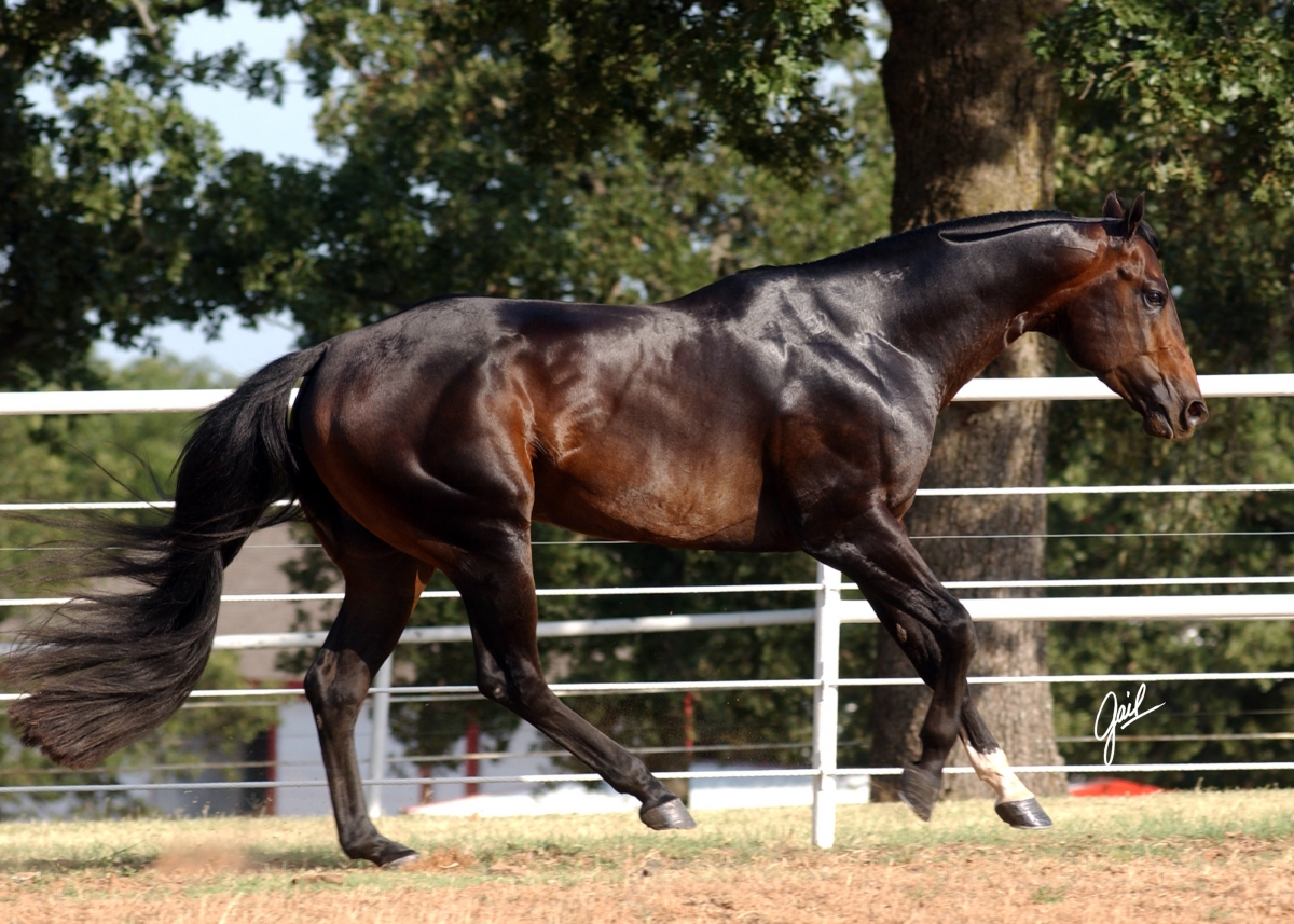 One Hot Krymsun lope