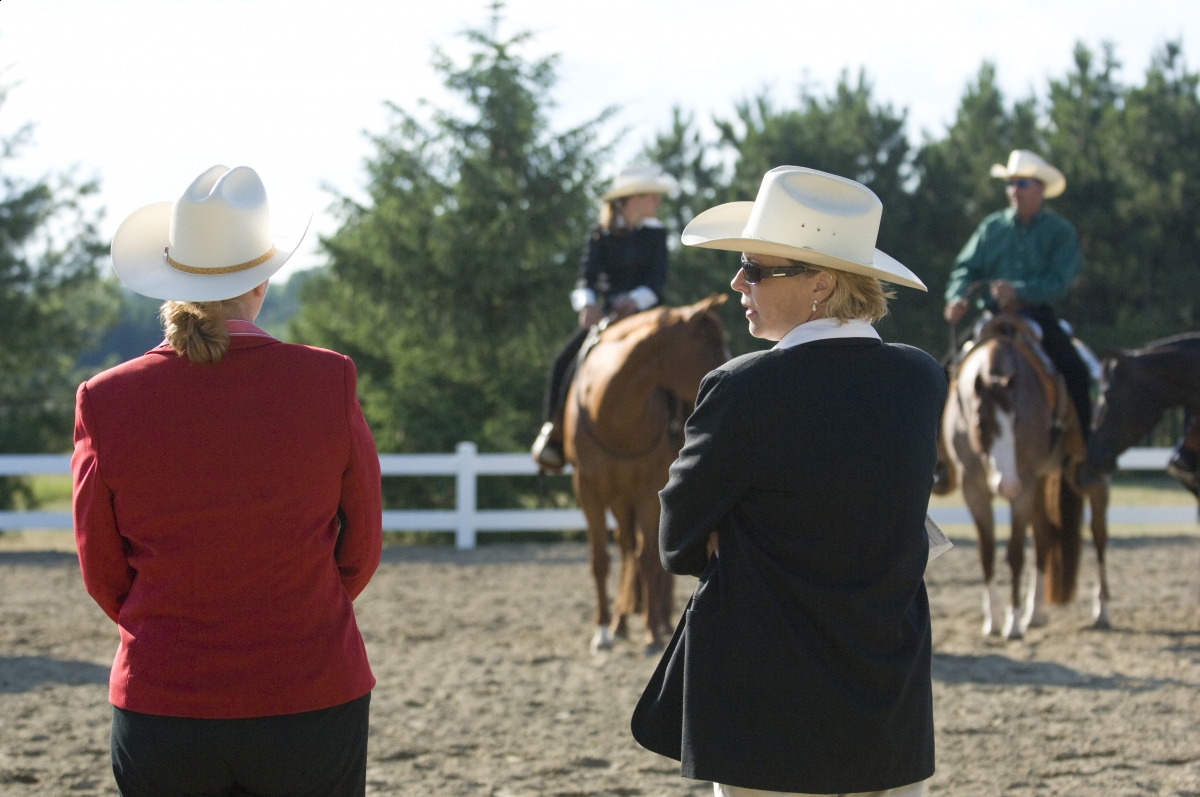 AQHA Reminding Judges Conferences on Correct Western Pleasure Horse Movement