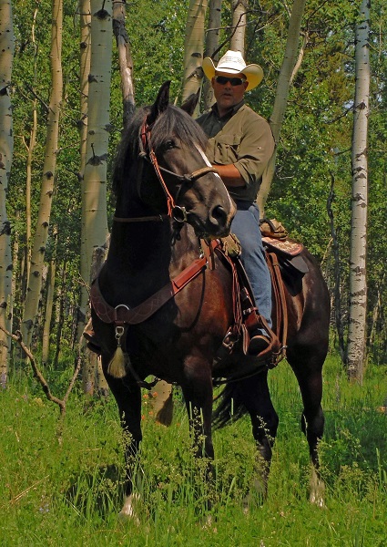 back country survival, christian mceachern, riding back country, horse riding back country, packing trip, saddle horn back country survival, christian mceachern, riding back country, horse riding back country, packing trip, saddle horn