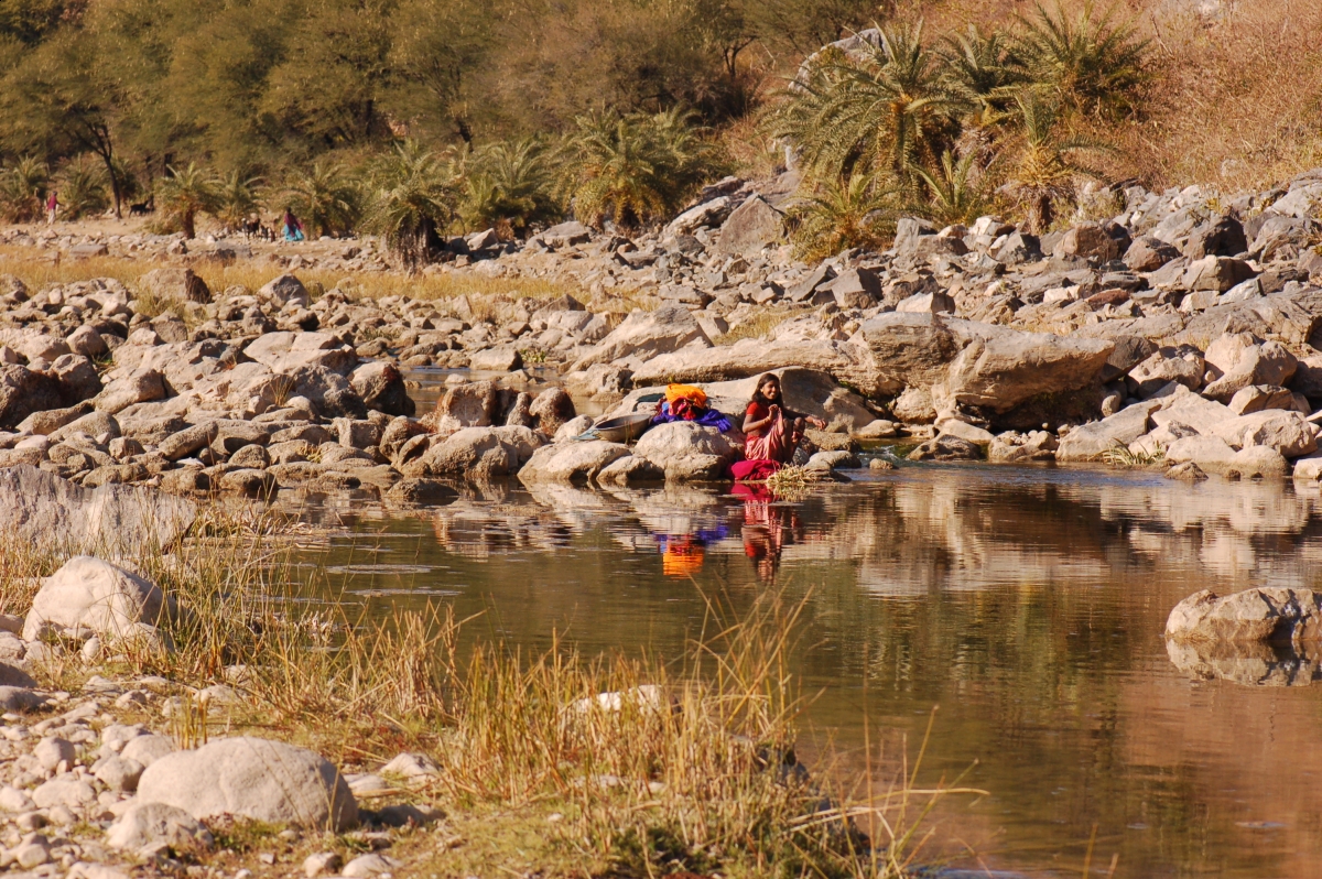 Pushkar Camel Fair, horseback riding  Marwari horse, Indian horsback riding, horse ridign Rajasthan India Southeast South Asia, Khumba Palace Guest House horse riding