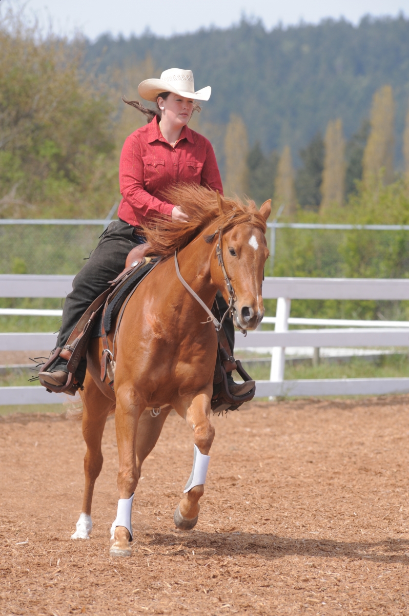 Horse Training Neck Rein